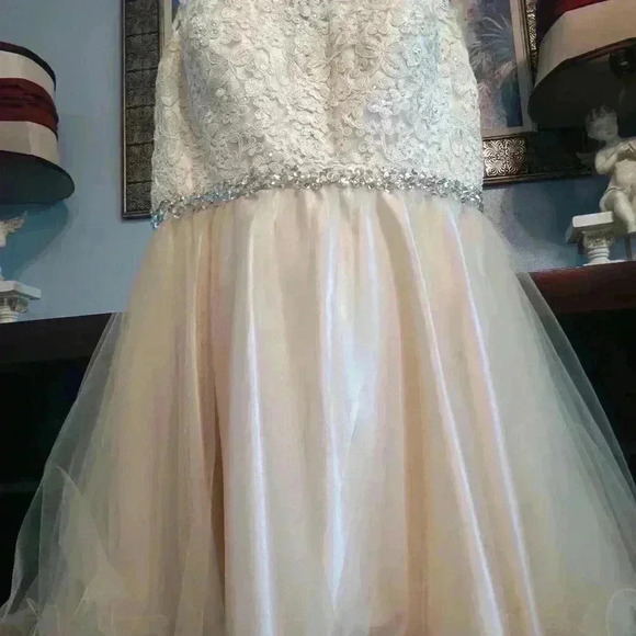 Elizabeth K by gls sleeveless Sequined Prom dress size XXL - Picture 6 of 16